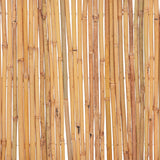 Recinzione in Bambù 500x50 cm
