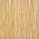 Recinzione in Bambù 300x100 cm