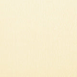 Tenda Laterale per Terrazza Pieghevole Crema 240x160 cm