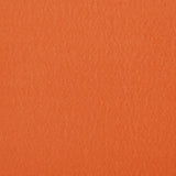 Tenda Laterale per Terrazza Pieghevole Terracotta 240x160 cm
