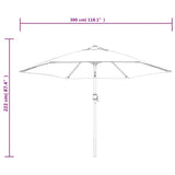 Ombrellone da Esterni con Palo in Metallo 300 cm Grigio Talpa