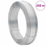 Filo per Recinzioni 250 m 2 mm in Acciaio