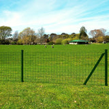 Recinzione Europea in Acciaio 10 x 1,0 m Verde