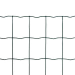 Recinzione Europea in Acciaio 25 x 1,2 m Verde