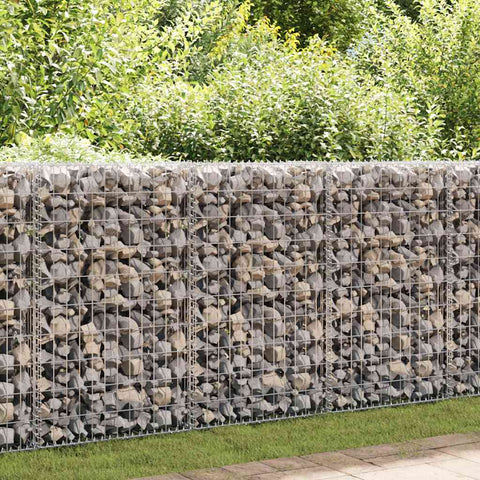 Gabbione con Copertura in Acciaio Zincato 300x50x100 cm