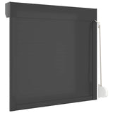 Persiana a rullo Antracite 100 x 100 cm Alluminio e poliuretano