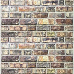 Pannelli Murali 3D con Design a Mattoni Multicolore 10 pz EPS
