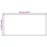 Tappeto da Tenda 250x550 cm Marrone