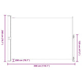 Tenda Laterale Retrattile per Patio 200x300 cm Grigia