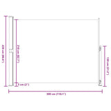 Tenda Laterale Retrattile per Patio 220x300 cm Grigia
