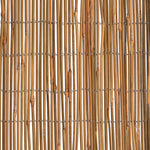 Recinzione in Bambù 500x100 cm
