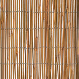 Recinzione in Bambù 500x100 cm