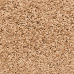 Tappetini per scale 10 pz 56x17x3 cm Beige Semicircolari