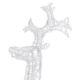 Renne e Slitta Decorazione Natale 90 LED 60x16x100 cm Acrilico
