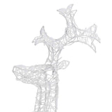 Renne e Slitta Decorazione Natale 90 LED 60x16x100 cm Acrilico
