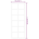 Porta Scorrevole in Vetro ESG e Alluminio 76x205 cm Nera