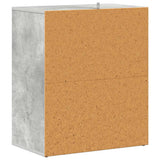 Scarpiera Grigio Cemento 60x35x70 cm in Truciolato