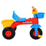 Triciclo per Bambini Multicolore