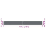 Tenda Laterale Retrattile Antracite 117x1200 cm