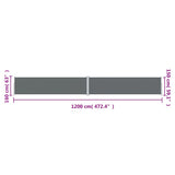 Tenda da Sole Laterale Retrattile Antracite 160x1200 cm