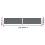 Tenda da Sole Laterale Retrattile Antracite 220x1200 cm