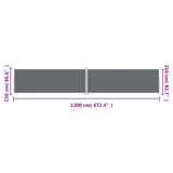 Tenda da Sole Laterale Retrattile Antracite 220x1200 cm
