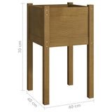 Fioriere da Giardino 2 pz Ambra 40x40x70 cm in Legno di Pino