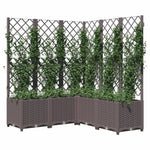 Fioriera da Giardino con Graticcio Marrone 120x120x136 cm in PP