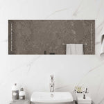 Specchio da Bagno con Luci LED 100x40 cm