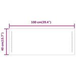 Specchio da Bagno con Luci LED 100x40 cm