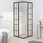 Cabina Doccia ESG Smerigliato 70x70x180 cm Nera