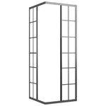 Cabina Doccia ESG Smerigliato 70x70x180 cm Nera