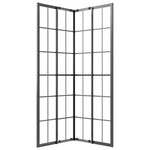 Cabina Doccia ESG Smerigliato 70x70x180 cm Nera