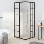 Cabina Doccia ESG Smerigliato 90x70x180 cm Nera