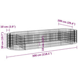 Gabbione con Letto Rialzato in Ferro Zincato 300x100x50 cm