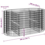 Gabbione con Letto Rialzato in Ferro Zincato 200x100x100 cm