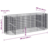 Gabbione con Letto Rialzato in Ferro Zincato 300x100x100 cm