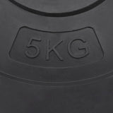 Dischi per Pesi 4 pz 30 kg in Cemento