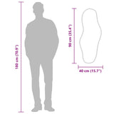 Specchio da Parete Argento 90x40 cm