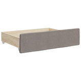Divano Letto Estraibile con Cassetti Tortora 100x200 cm Tessuto