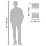 Specchio da Parete 30x60 cm Vetro Rettangolare