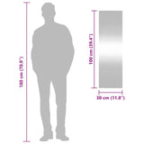 Specchio da Parete 30x100 cm Vetro Rettangolare