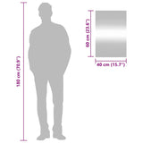 Specchio da Parete 40x60 cm Vetro Rettangolare