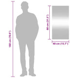 Specchio da Parete 40x80 cm Vetro Rettangolare