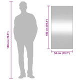 Specchio da Parete 50x100 cm Vetro Rettangolare