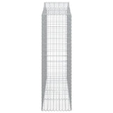 Cesti Gabbioni ad Arco 13 pz 200x50x160/180 cm Ferro Zincato