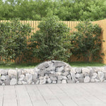 Cesti Gabbioni ad Arco 11 pz 200x30x40/60 cm Ferro Zincato