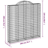 Cesti Gabbioni ad Arco 2 pz 200x30x200/220 cm Ferro Zincato