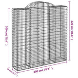 Cesti Gabbioni ad Arco 7 pz 200x50x200/220 cm Ferro Zincato