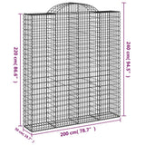 Cesti Gabbioni ad Arco 15 pz 200x50x220/240 cm Ferro Zincato